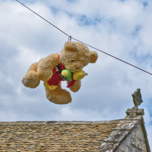 Family Fun Day and Teddy Bears Picnic
