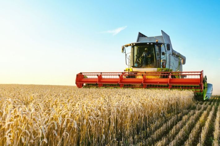 Harvest Thanksgiving